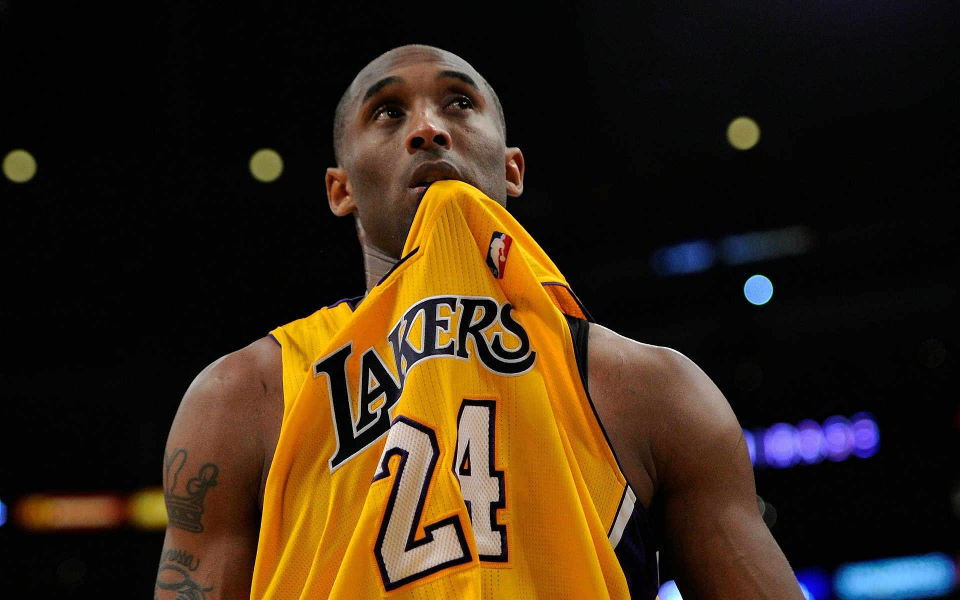 坛的希望之 坛的希望之